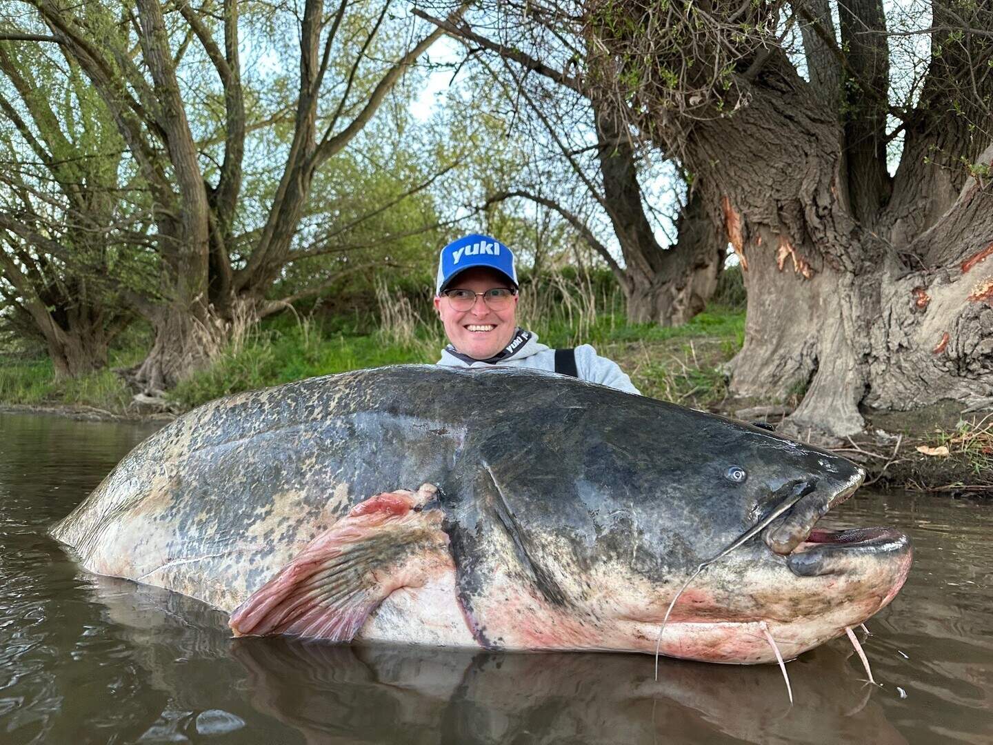 Tweelingbroers vangen grootste meerval ooit in Nederlands-Limburg: “Ze